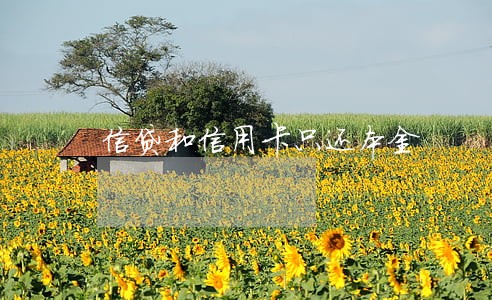 信贷和信用卡只还本金