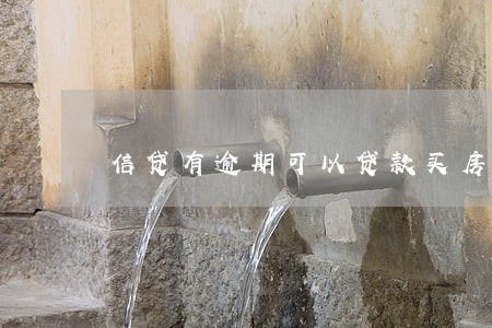信贷有逾期可以贷款买房吗 信贷有逾期可以贷款买房吗
