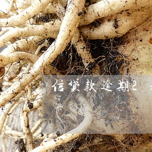 信贷款逾期2天 信贷款逾期2天
