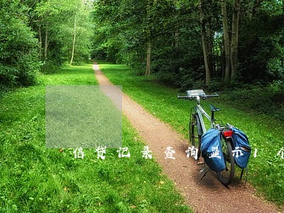 信贷记录查询显示1个逾期 信贷记录查询显示1个逾期