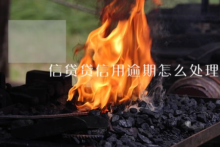 信贷贷信用逾期怎么处理 信贷贷信用逾期怎么处理