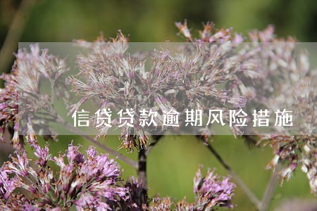 信贷贷款逾期风险措施 信贷贷款逾期风险措施
