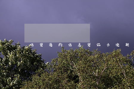 信贷违约信息贷记卡逾期55 信贷违约信息贷记卡逾期55
