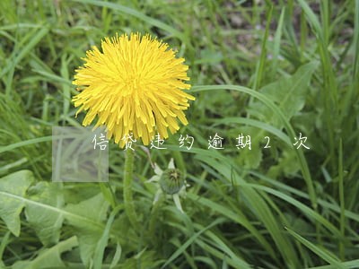 信贷违约逾期2次 信贷违约逾期2次