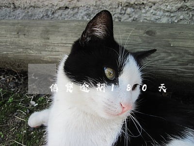 信贷逾期180天 信贷逾期180天