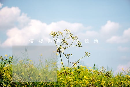 信贷逾期1天还清 信贷逾期1天还清