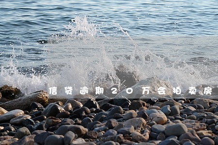 信贷逾期20万会拍卖房子吗