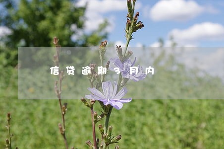 信贷逾期3月内 信贷逾期3月内