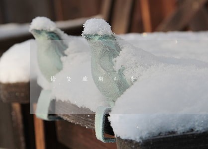 信贷逾期4条 信贷逾期4条