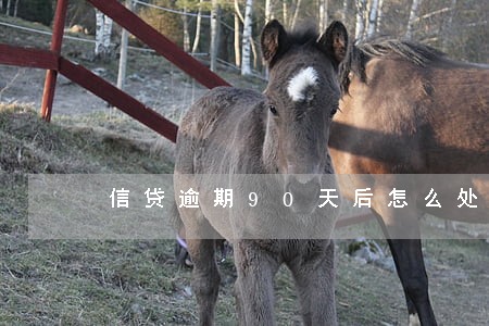 信贷逾期90天后怎么处理 信贷逾期90天后怎么处理