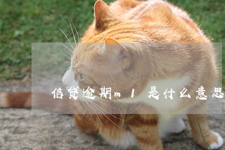 信贷逾期m1是什么意思 信贷逾期m1是什么意思