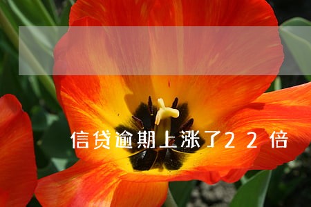 信贷逾期上涨了22倍 信贷逾期上涨了22倍