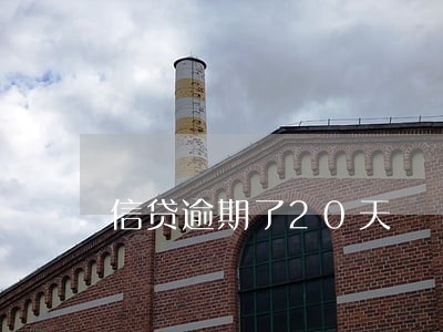 信贷逾期了20天