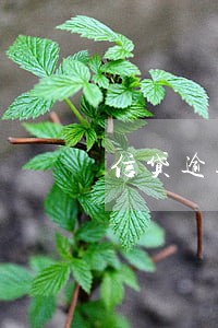 信贷逾期信用卡降低额度