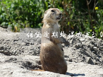 信贷逾期处理方案2019 信贷逾期处理方案2019