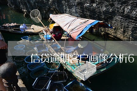 信贷逾期客户画像分析6
