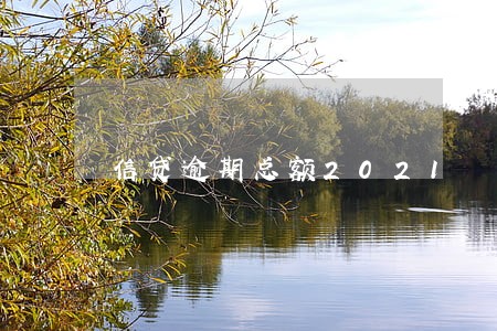 信贷逾期总额2021 信贷逾期总额2021