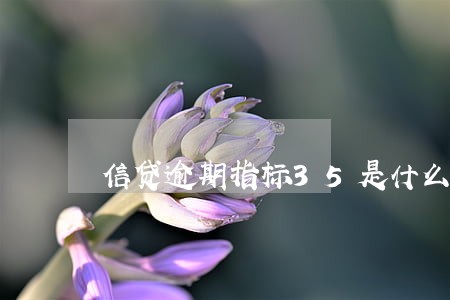 信贷逾期指标35是什么 信贷逾期指标35是什么