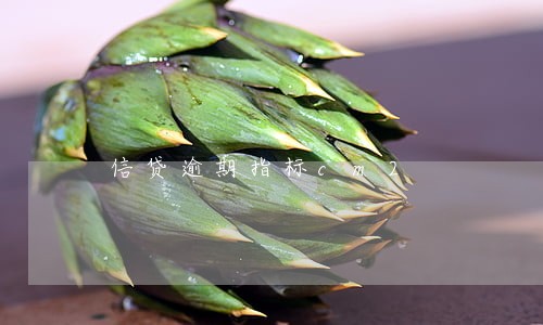 信贷逾期指标cm2 信贷逾期指标cm2