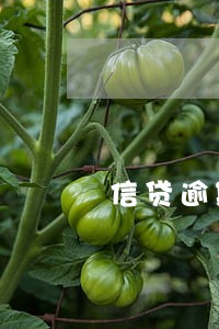 信贷逾期贷款催收 信贷逾期贷款催收