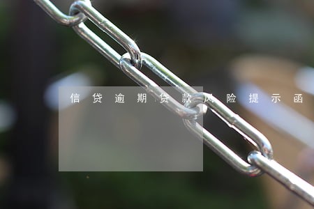 信贷逾期贷款风险提示函 信贷逾期贷款风险提示函
