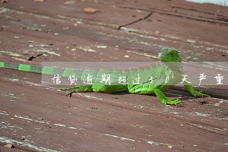 信贷逾期超过30天严重吗 信贷逾期超过30天严重吗