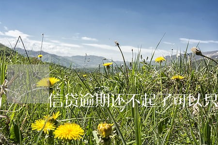 信贷逾期还不起了可以只还本金吗 信贷逾期还不起了可以只还本金吗