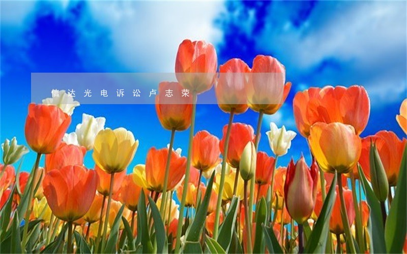 信达光电诉讼卢志荣 信达光电诉讼卢志荣