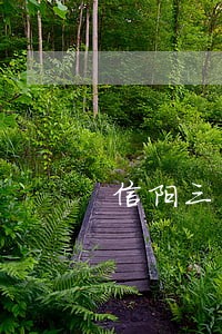 信阳三丰建筑有限公司 信阳三丰建筑有限公司