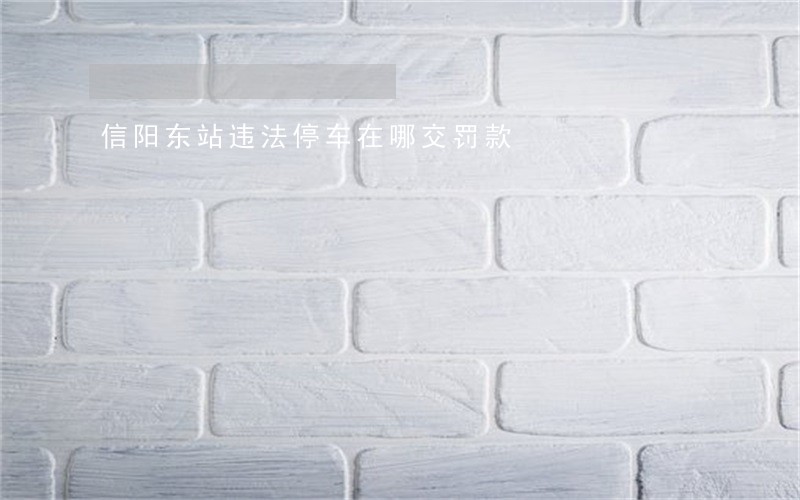 信阳东站违法停车在哪交罚款