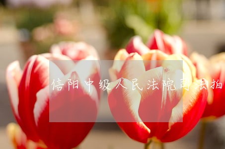 信阳中级人民法院司法拍卖网 信阳中级人民法院司法拍卖网
