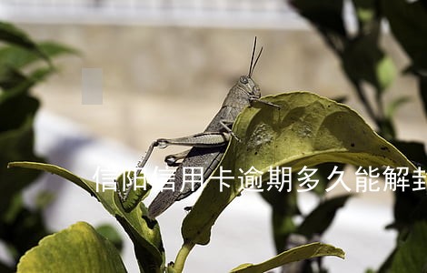 信阳信用卡逾期多久能解封 信阳信用卡逾期多久能解封