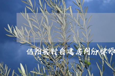 信阳农村自建房纠纷律师 信阳农村自建房纠纷律师