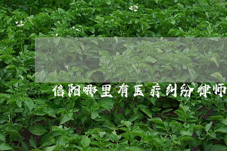 信阳哪里有医疗纠纷律师哪家好 信阳哪里有医疗纠纷律师哪家好