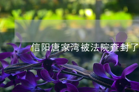 信阳唐家湾被法院查封了吗