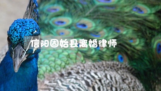 信阳固始县离婚律师 信阳固始县离婚律师