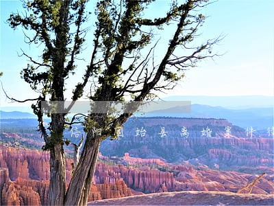 信阳固始县离婚案件律师服务网站