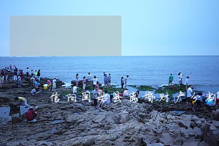 信阳固始县离婚财产分割律师收费 信阳固始县离婚财产分割律师收费