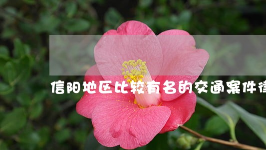 信阳地区比较有名的交通案件律师 信阳地区比较有名的交通案件律师