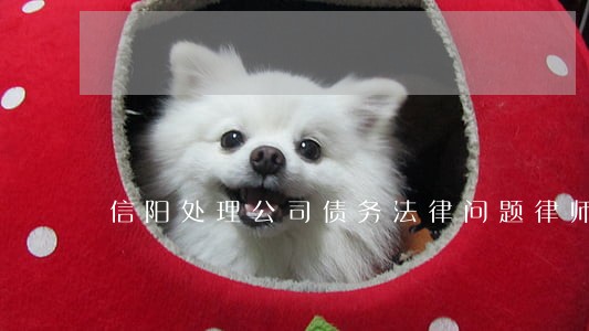 信阳处理公司债务法律问题律师