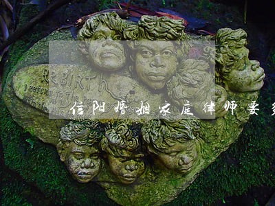 信阳婚姻家庭律师要多少钱 信阳婚姻家庭律师要多少钱