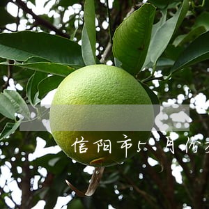信阳市5月份交通违法行为 信阳市5月份交通违法行为