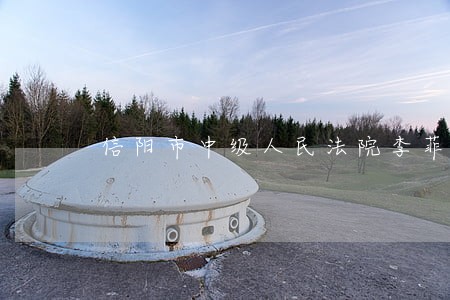 信阳市中级人民法院李菲菲 信阳市中级人民法院李菲菲
