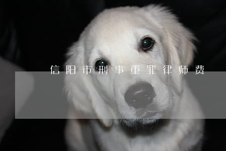信阳市刑事重罪律师费 信阳市刑事重罪律师费