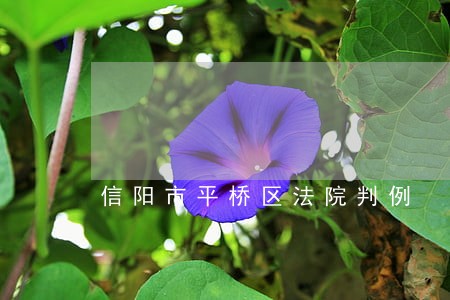 信阳市平桥区法院判例 信阳市平桥区法院判例
