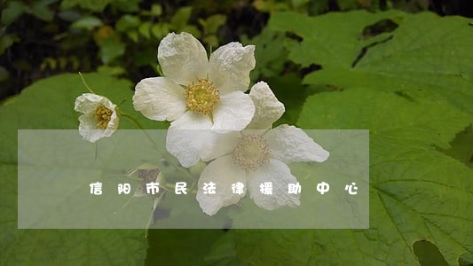 信阳市民法律援助中心 信阳市民法律援助中心