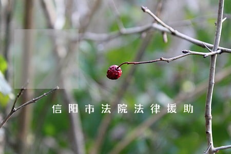 信阳市法院法律援助 信阳市法院法律援助