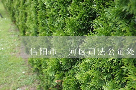 信阳市浉河区司法公证处电话 信阳市浉河区司法公证处电话