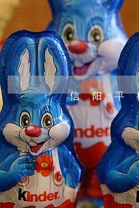 信阳平桥法院庭长王政