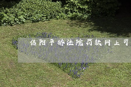 信阳平桥法院罚款网上可以交吗 信阳平桥法院罚款网上可以交吗